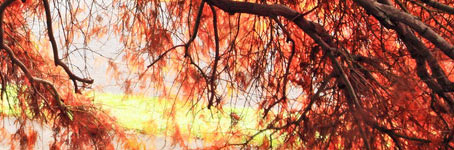 ddos在线攻击测试网站