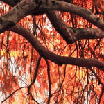 温馨的ddos攻击工具