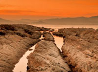 怎么去攻击一个网站与防护