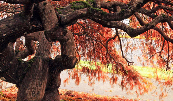 怎么去攻击一个网站与防护